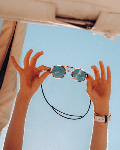 Seek - Polarised Sunglasses
